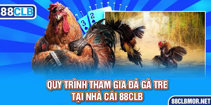 Quy trình tham gia đá gà tre tại nhà cái 88clb